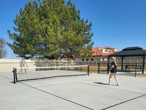 Two people playing pickleball on a rooftop court with a net, lines, and sunlit surroundings, a tree and buildings in the background, and clear blue sky.