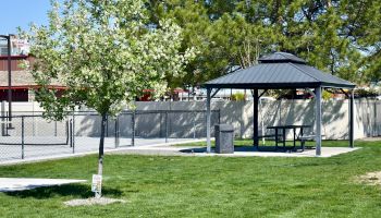 A sunny park scene with green grass, trees, a shaded pavilion over a picnic table, and a fenced area in the background.