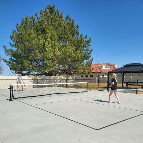A tree stands in a wide paved area with a bench and a person walking nearby, under a clear blue sky and a small building in the background.
