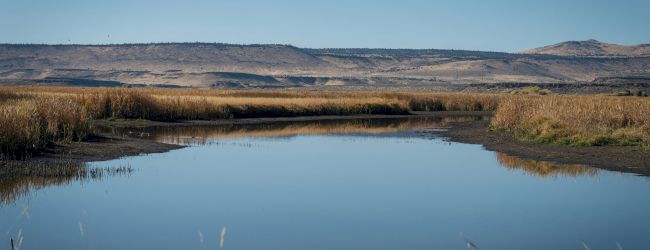 River Point RV Park
